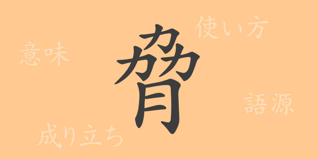 脅(キョウ)の漢字の成り立ち(語源)と意味、使い方、読み方、画数、部首 脅(キョウ)の漢字の成り立ち(語源)と意味、使い方、読み方、画数、部首