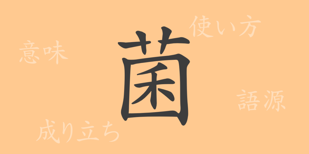 菌（キン）の漢字の成り立ち(語源)と意味、使い方、読み方、画数、部首