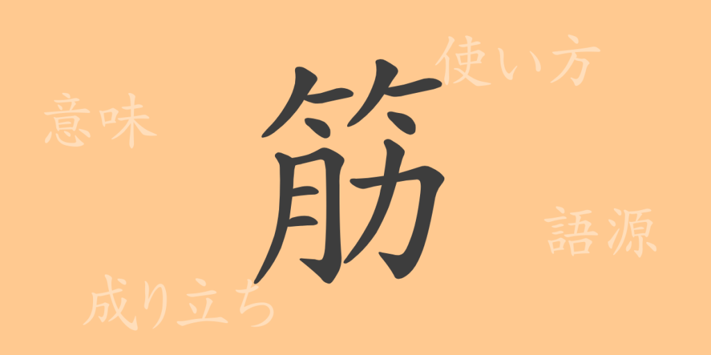 筋(キン)の漢字の成り立ち(語源)と意味、使い方、読み方、画数、部首 筋(キン)の漢字の成り立ち(語源)と意味、使い方、読み方、画数、部首