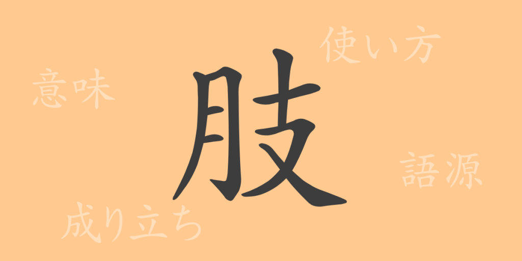 肢(シ)の漢字の成り立ち(語源)と意味、使い方、読み方、画数、部首 肢(シ)の漢字の成り立ち(語源)と意味、使い方、読み方、画数、部首