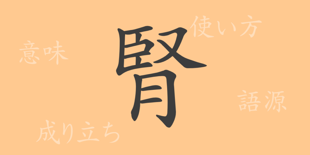 腎（ジン）の漢字の成り立ち(語源)と意味、用途