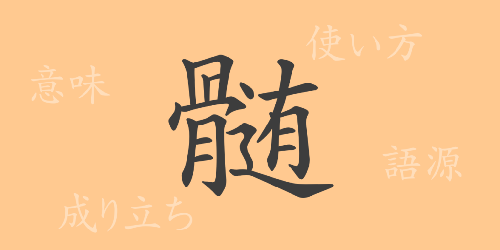 髄(ズイ)の漢字の成り立ち(語源)と意味、用途 髄(ズイ)の漢字の成り立ち(語源)と意味、用途