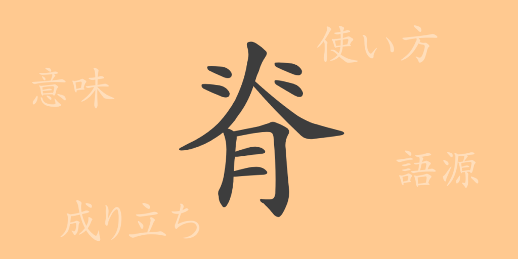 脊（セキ）の漢字の成り立ち(語源)と意味、用途