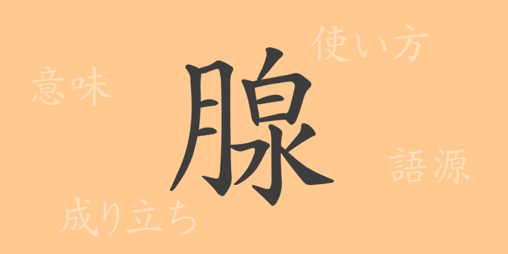 腺（セン）の漢字の成り立ち(語源)と意味、用途