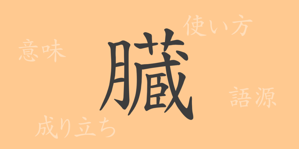 臓(ゾウ)の漢字の成り立ち(語源)と意味、用途 臓(ゾウ)の漢字の成り立ち(語源)と意味、用途