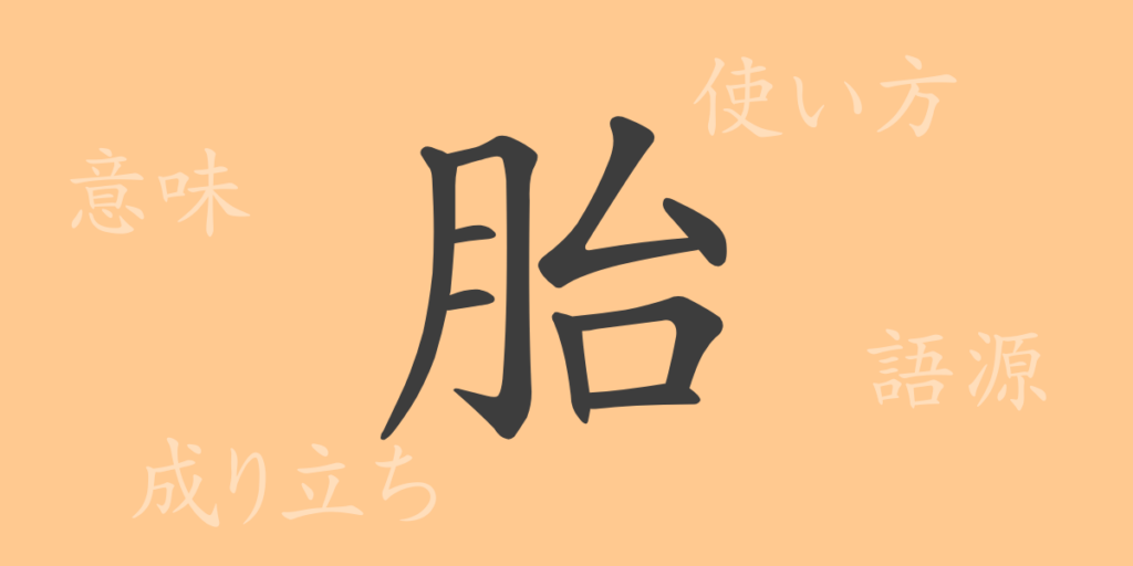 胎(タイ)の漢字の成り立ち(語源)と意味、用途 胎(タイ)の漢字の成り立ち(語源)と意味、用途