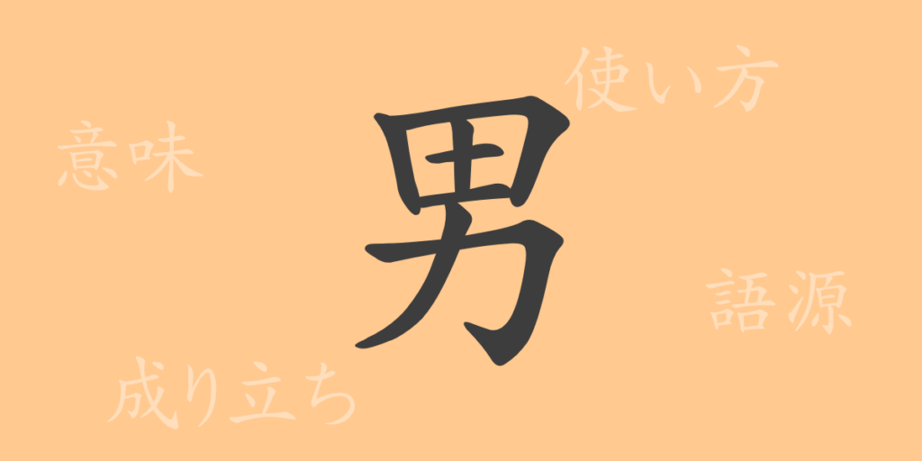 男（ダン）の漢字の成り立ち(語源)と意味、用途