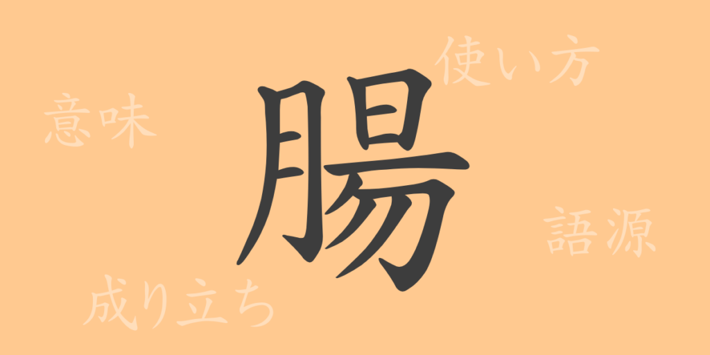 腸（チョウ）の漢字の成り立ち(語源)と意味、用途