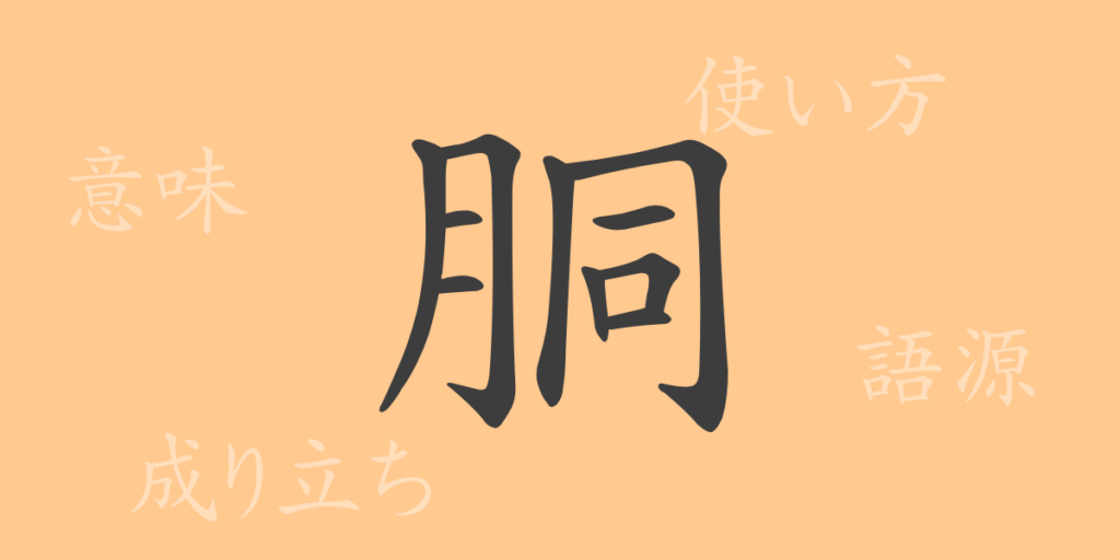 胴（ドウ）の漢字の成り立ち(語源)と意味、用途