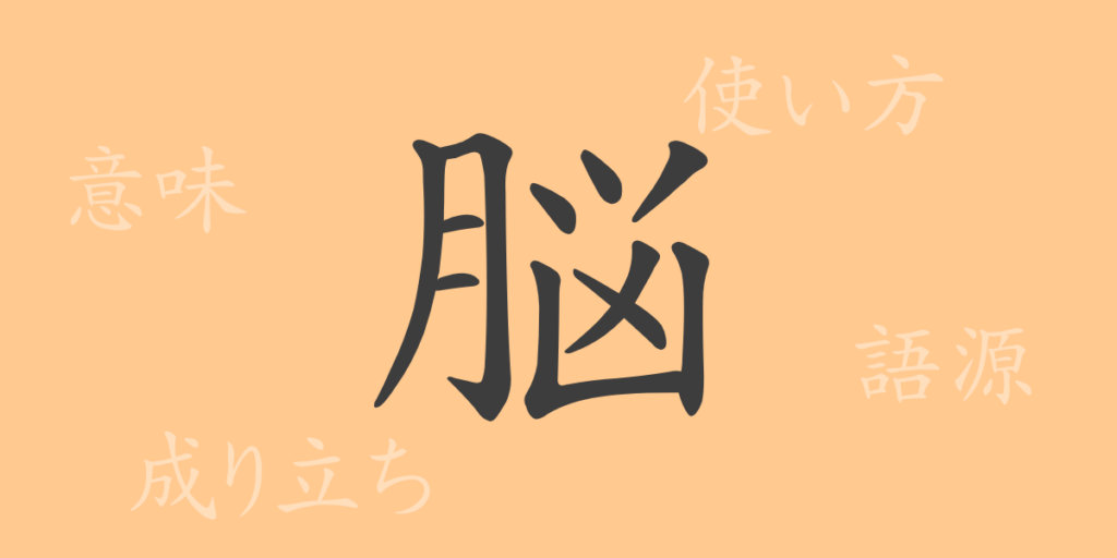 脳(ノウ)の漢字の成り立ち(語源)と意味、用途 脳(ノウ)の漢字の成り立ち(語源)と意味、用途