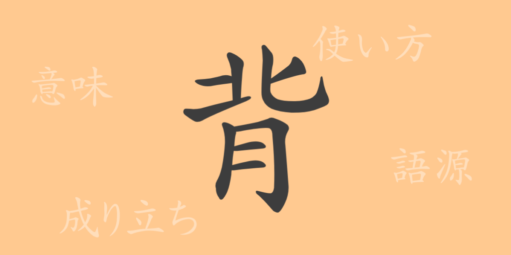 背（ハイ）の漢字の成り立ち(語源)と意味、用途
