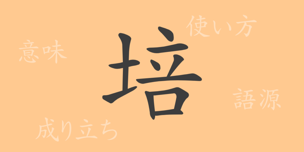 培(バイ)の漢字の成り立ち(語源)と意味、用途 培(バイ)の漢字の成り立ち(語源)と意味、用途