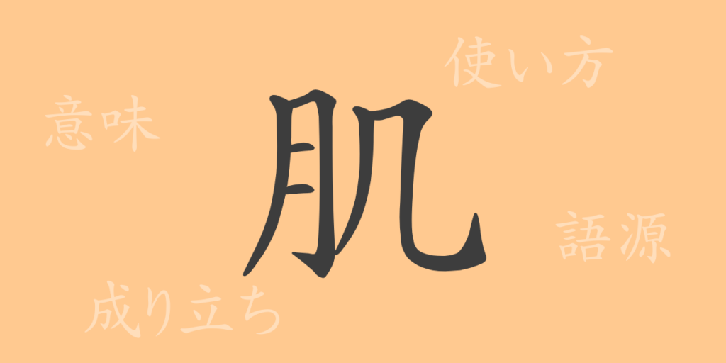 肌（はだ）の漢字の成り立ち(語源)と意味、用途