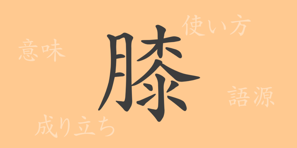 膝（ひざ）の漢字の成り立ち(語源)と意味、用途