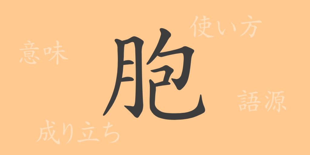 胞(ホウ)の漢字の成り立ち(語源)と意味、用途 胞(ホウ)の漢字の成り立ち(語源)と意味、用途