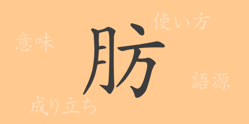 肪（ボウ）の漢字の成り立ち(語源)と意味、用途