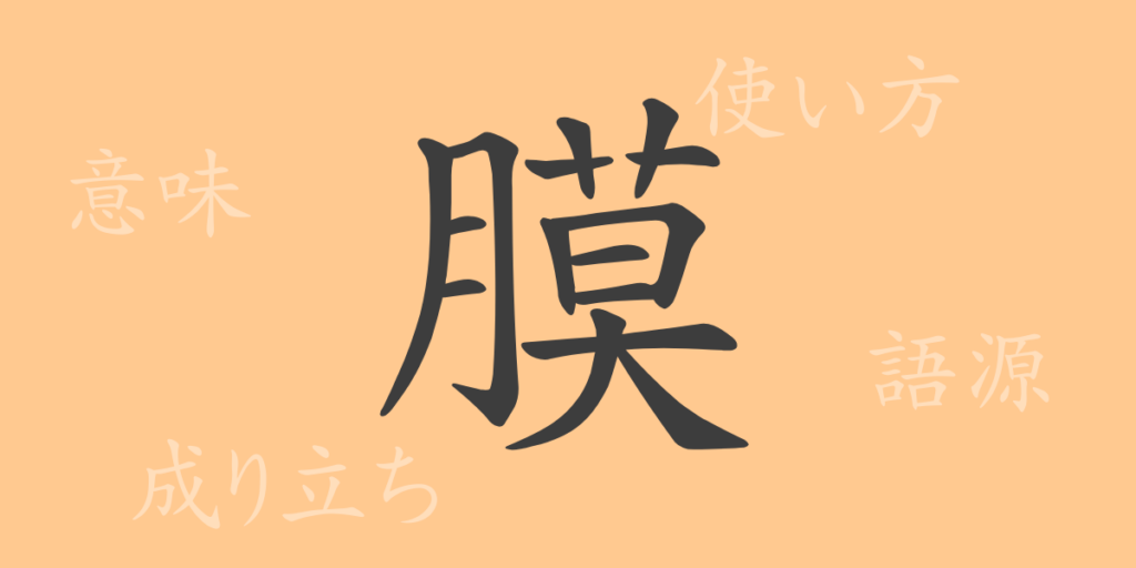 膜(マク)の漢字の成り立ち(語源)と意味、用途 膜(マク)の漢字の成り立ち(語源)と意味、用途