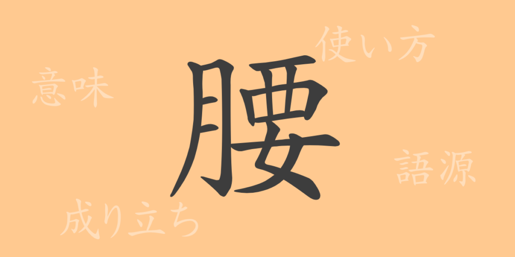 腰(ヨウ)の漢字の成り立ち(語源)と意味、用途 腰(ヨウ)の漢字の成り立ち(語源)と意味、用途
