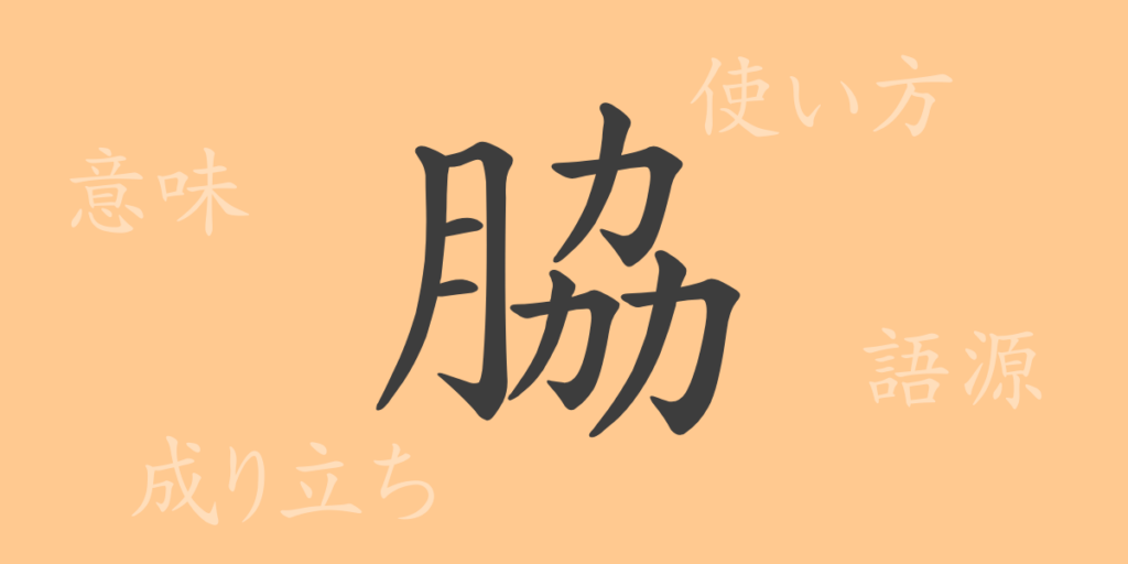 脇(わき)の漢字の成り立ち(語源)と意味、用途 脇(わき)の漢字の成り立ち(語源)と意味、用途