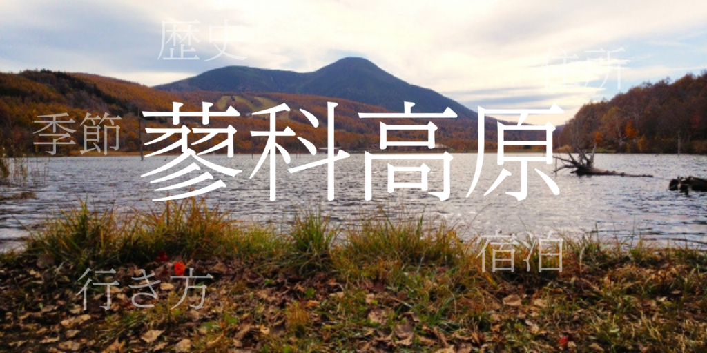 蓼科高原(たてしなこうげん)の歴史と観光スポット・おすすめの宿 – 長野県 蓼科高原(たてしなこうげん)の歴史と観光スポット・おすすめの宿 – 長野県