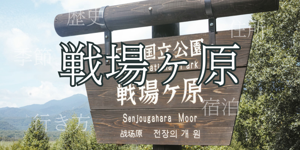 戦場ヶ原(せんじょうがはら)の歴史と観光スポット・おすすめの宿 – 栃木県 戦場ヶ原(せんじょうがはら)の歴史と観光スポット・おすすめの宿 – 栃木県