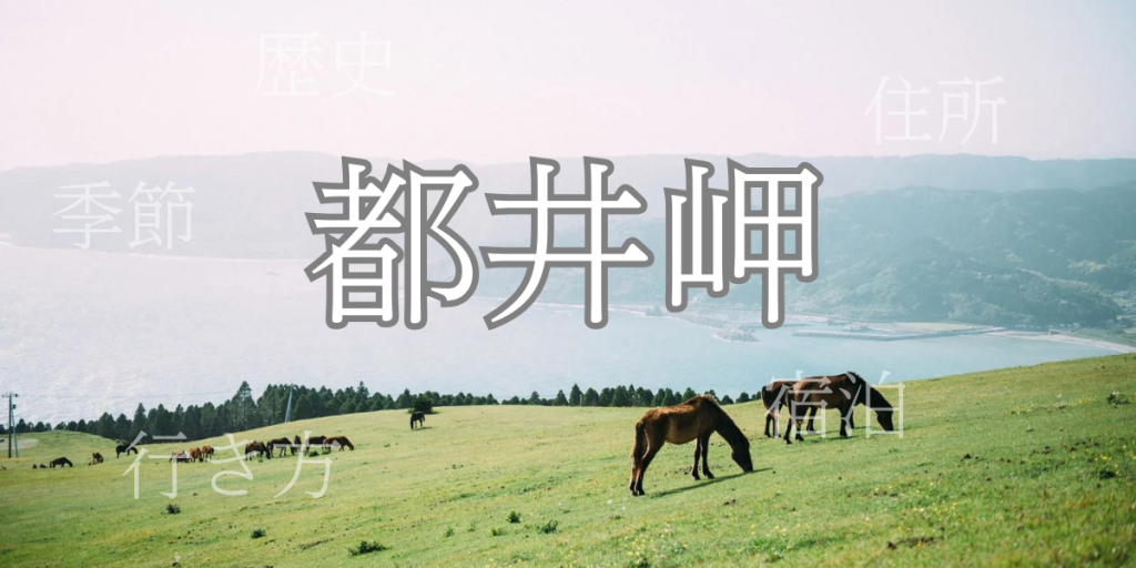 都井岬(といみさき)の歴史と観光スポット・おすすめの宿 – 宮崎県 都井岬(といみさき)の歴史と観光スポット・おすすめの宿 – 宮崎県