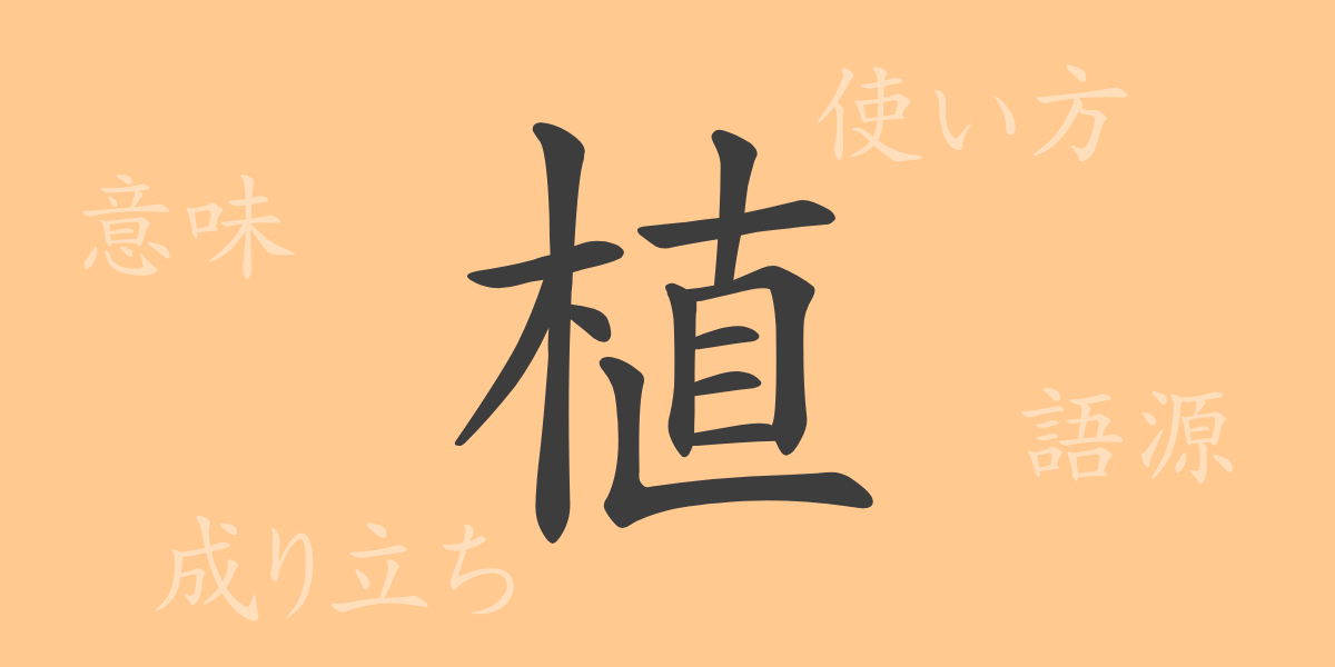 植（ショク）の漢字の成り立ち(語源)と意味、使い方、読み方、画数、部首