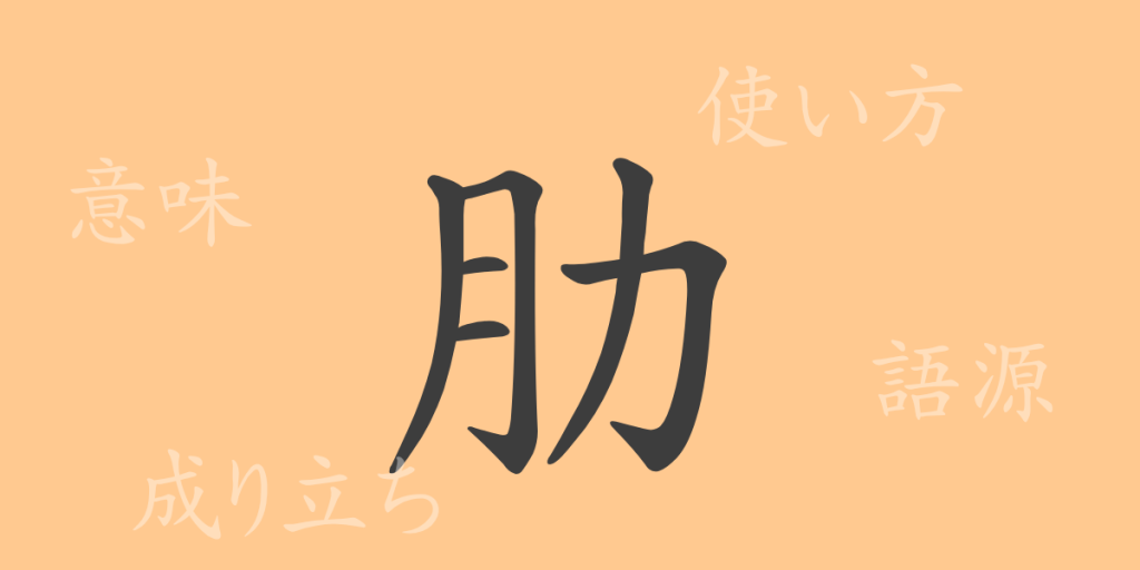 肋（ロク）の漢字の成り立ち(語源)と意味、使い方、読み方、画数、部首