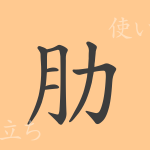 肋(ロク)の漢字の成り立ち(語源)と意味、使い方、読み方、画数、部首 肋(ロク)の漢字の成り立ち(語源)と意味、使い方、読み方、画数、部首