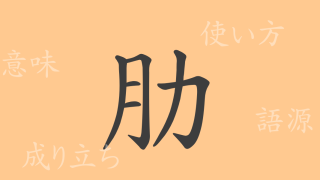 肋（ロク）の漢字の成り立ち(語源)と意味、使い方、読み方、画数、部首