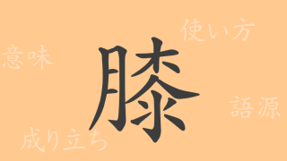 膝（シツ）の漢字の成り立ち(語源)と意味、使い方、読み方、画数、部首