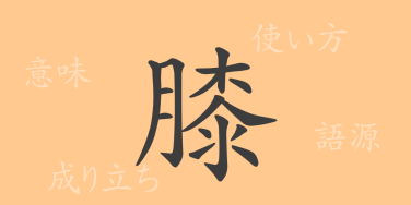 膝（シツ）の漢字の成り立ち(語源)と意味、使い方、読み方、画数、部首