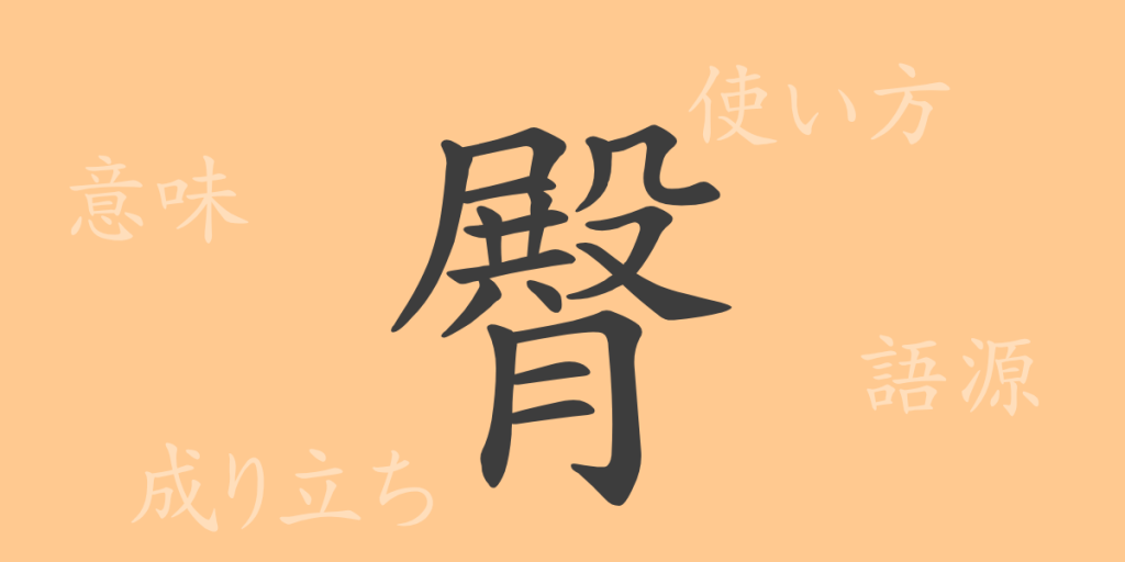 臀（デン）の漢字の成り立ち(語源)と意味、使い方、読み方、画数、部首