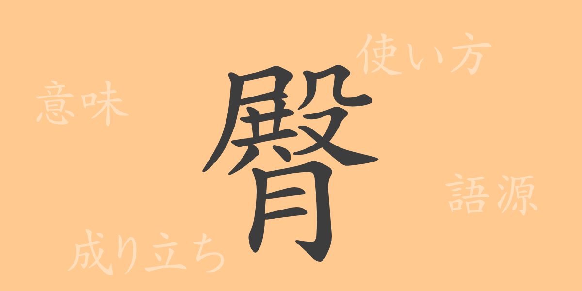 臀（デン）の漢字の成り立ち(語源)と意味、使い方、読み方、画数、部首