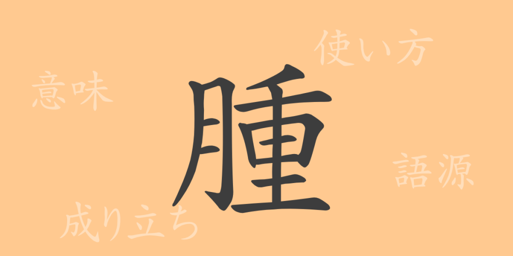 腫(シュ)の漢字の成り立ち(語源)と意味、使い方、読み方、画数、部首 腫(シュ)の漢字の成り立ち(語源)と意味、使い方、読み方、画数、部首