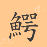 鰐(ガク)の漢字の成り立ち(語源)と意味、使い方、読み方、画数、部首 鰐(ガク)の漢字の成り立ち(語源)と意味、使い方、読み方、画数、部首