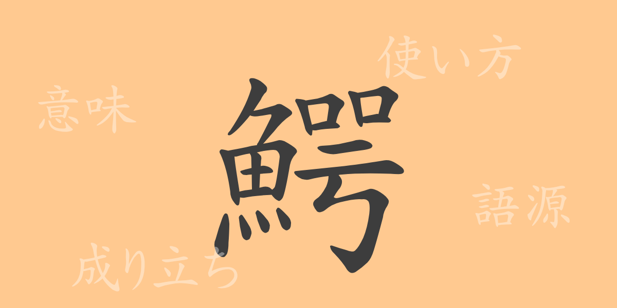 鰐（ガク）の漢字の成り立ち(語源)と意味、使い方、読み方、画数、部首