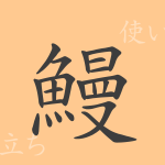 鰻(マン)の漢字の成り立ち(語源)と意味、使い方、読み方、画数、部首 鰻(マン)の漢字の成り立ち(語源)と意味、使い方、読み方、画数、部首