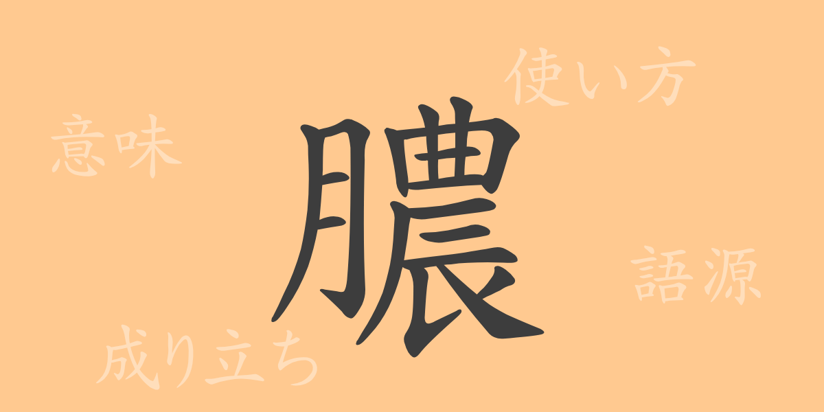 膿（ノウ）の漢字の成り立ち(語源)と意味、使い方、読み方、画数、部首