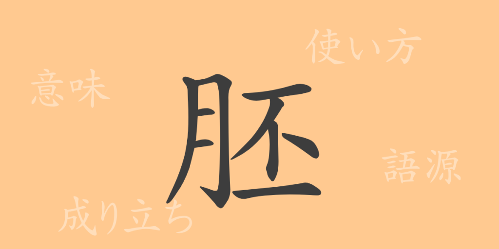胚(ハイ)の漢字の成り立ち(語源)と意味、使い方、読み方、画数、部首 胚(ハイ)の漢字の成り立ち(語源)と意味、使い方、読み方、画数、部首