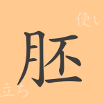 胚(ハイ)の漢字の成り立ち(語源)と意味、使い方、読み方、画数、部首 胚(ハイ)の漢字の成り立ち(語源)と意味、使い方、読み方、画数、部首