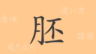 胚（ハイ）の漢字の成り立ち(語源)と意味、使い方、読み方、画数、部首