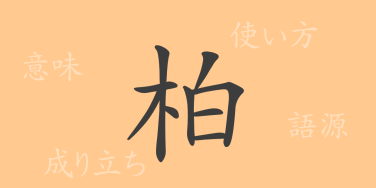 柏（ハク）の漢字の成り立ち(語源)と意味、使い方、読み方、画数、部首