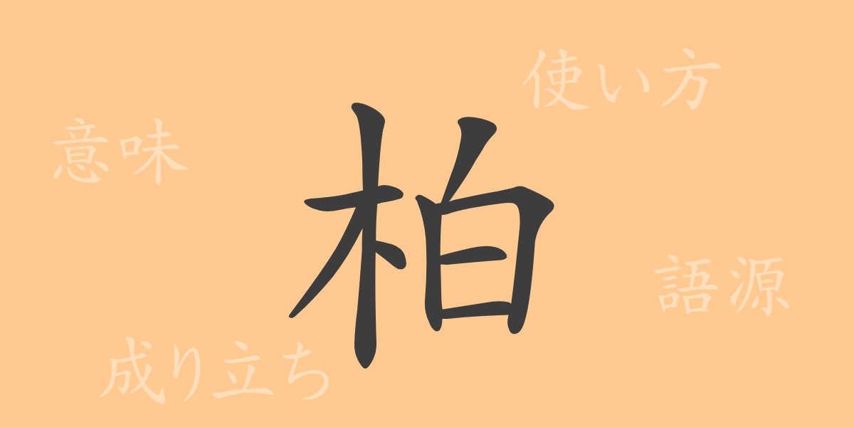柏（ハク）の漢字の成り立ち(語源)と意味、使い方、読み方、画数、部首