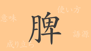 脾（ヒ）の漢字の成り立ち(語源)と意味、使い方、読み方、画数、部首