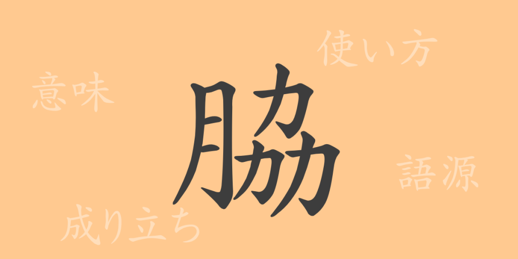 脇(キョウ)の漢字の成り立ち(語源)と意味、使い方、読み方、画数、部首 脇(キョウ)の漢字の成り立ち(語源)と意味、使い方、読み方、画数、部首