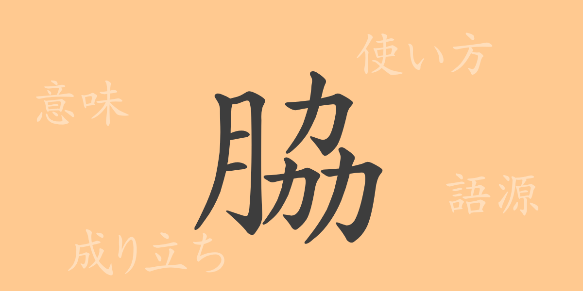 脇（キョウ）の漢字の成り立ち(語源)と意味、使い方、読み方、画数、部首