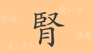 腎（ジン）の漢字の成り立ち(語源)と意味、使い方、読み方、画数、部首