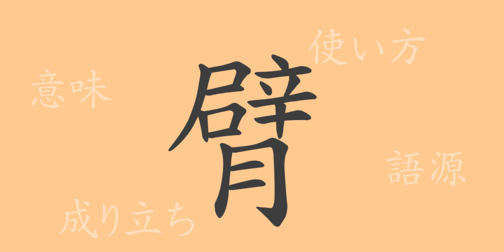 臂（ヒ）の漢字の成り立ち(語源)と意味、使い方、読み方、画数、部首