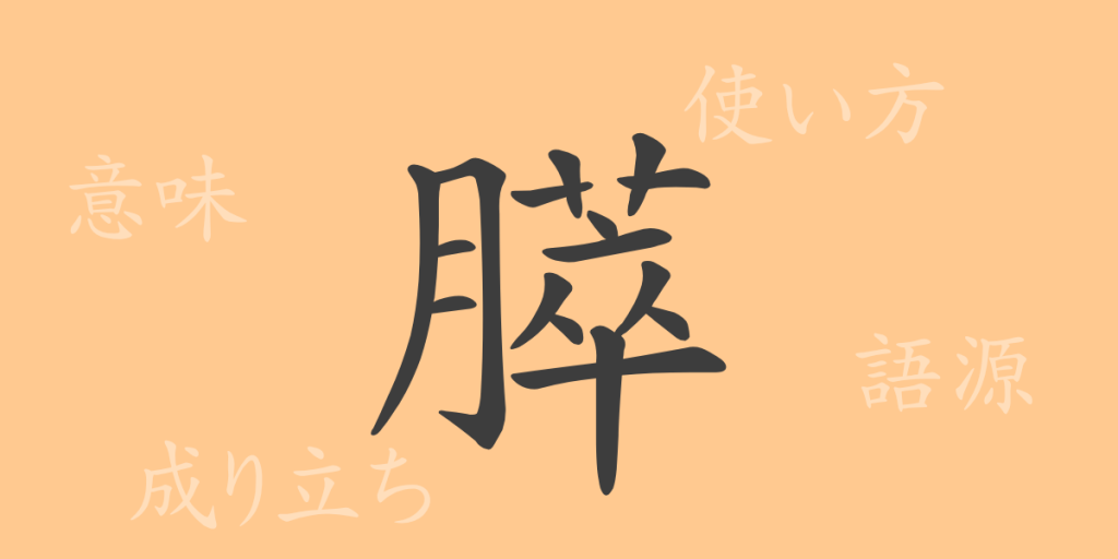 膵(スイ)の漢字の成り立ち(語源)と意味、使い方、読み方、画数、部首 膵(スイ)の漢字の成り立ち(語源)と意味、使い方、読み方、画数、部首